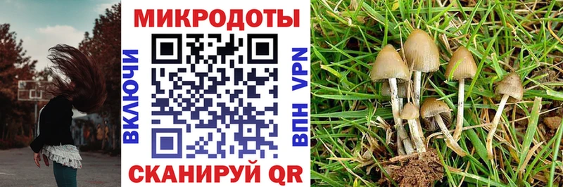 Псилоцибиновые грибы мухоморы  Тайга 