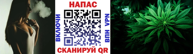 kraken tor  наркотики  Тайга  Бошки марихуана ГИДРОПОН 